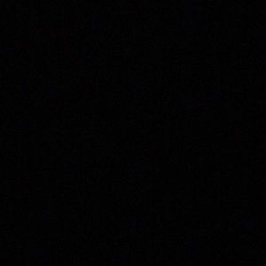 Meet your Posher, Rudy